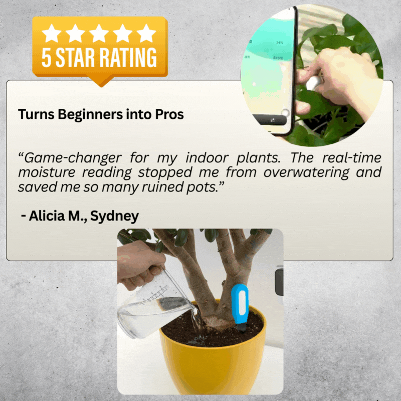 Plantify-JoY™ 5-Pack Sensor Add-On